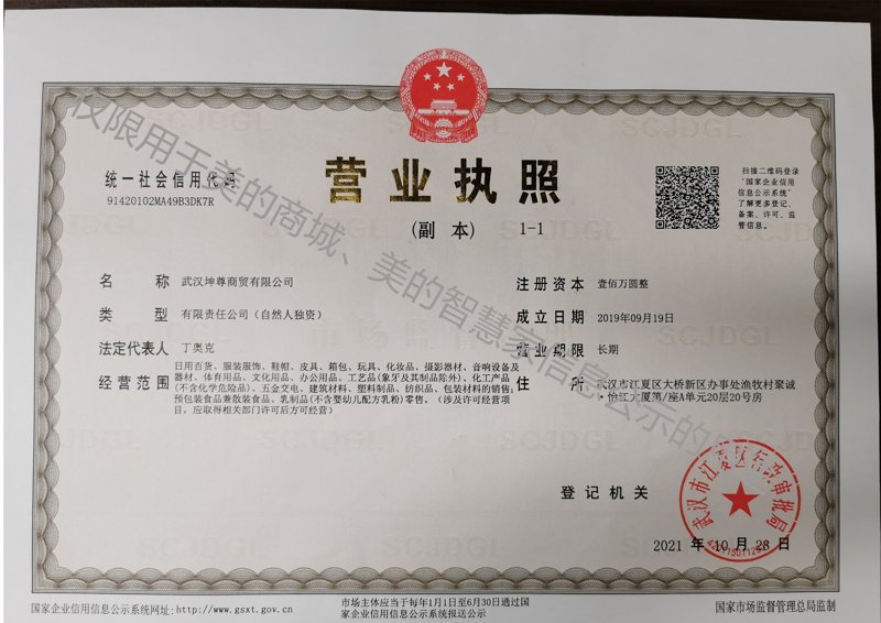 武汉批发零售:传统与现代的交织
